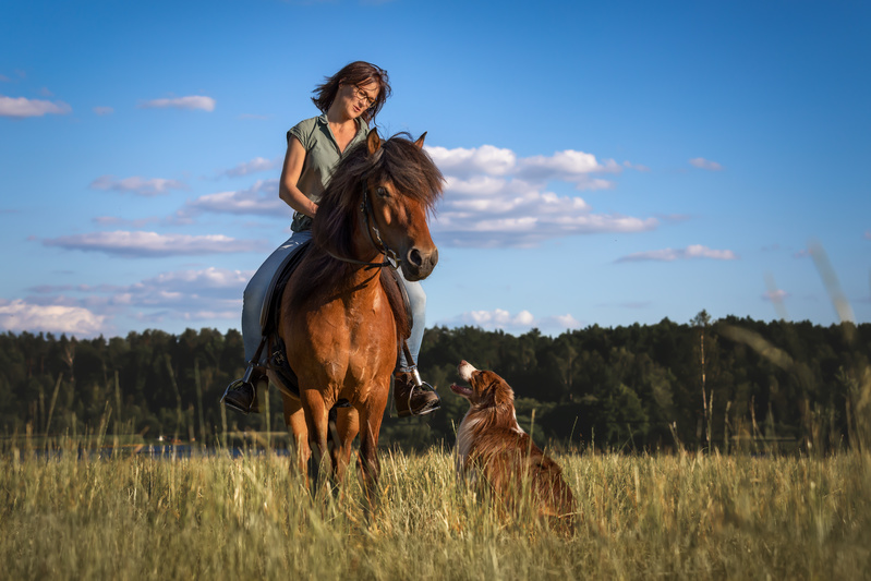 Hallthor und Merlin beim Ausritt. Foto: Frau Knautsch