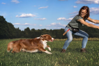Merlin springt los für das Dummie mit Doreen