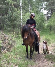 Ausritt mit Hallthor und Merlin
