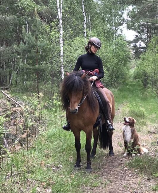 Ausritt mit Hallthor und Merlin