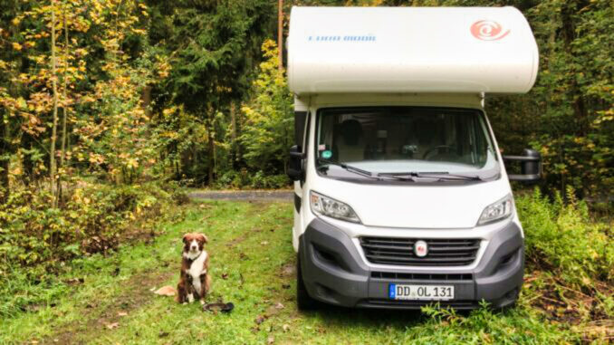 Hund im Wohnmobil Hund im Wohnmobil
