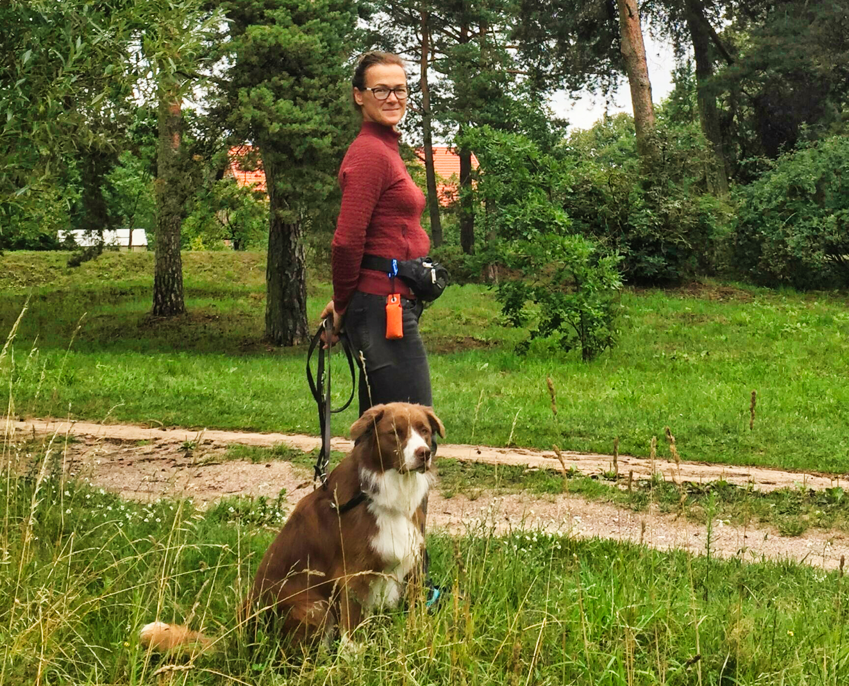 Das Zugstopphalsband - Einfach Genial (2 Modelle) Merlin mit Zugstopphalsband