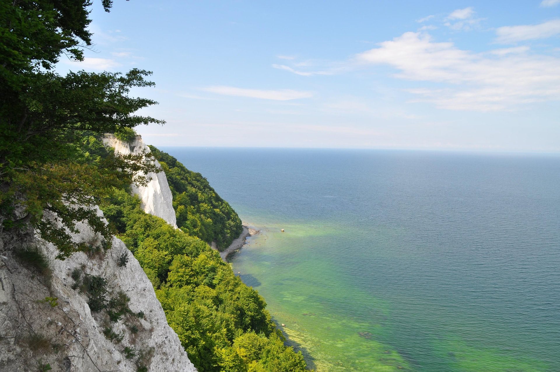 Hundetrainerin Rügen